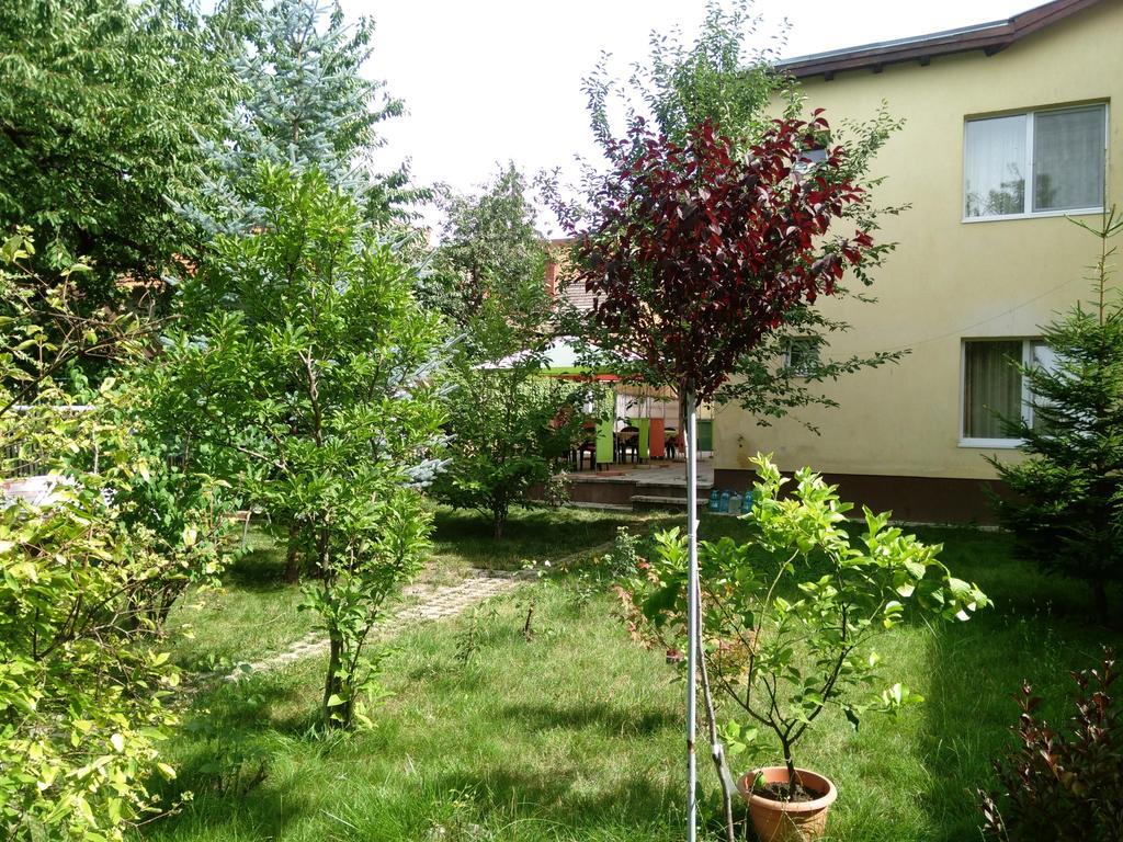 Pensiunea Paloma 3 Stele Braşov Exterior foto