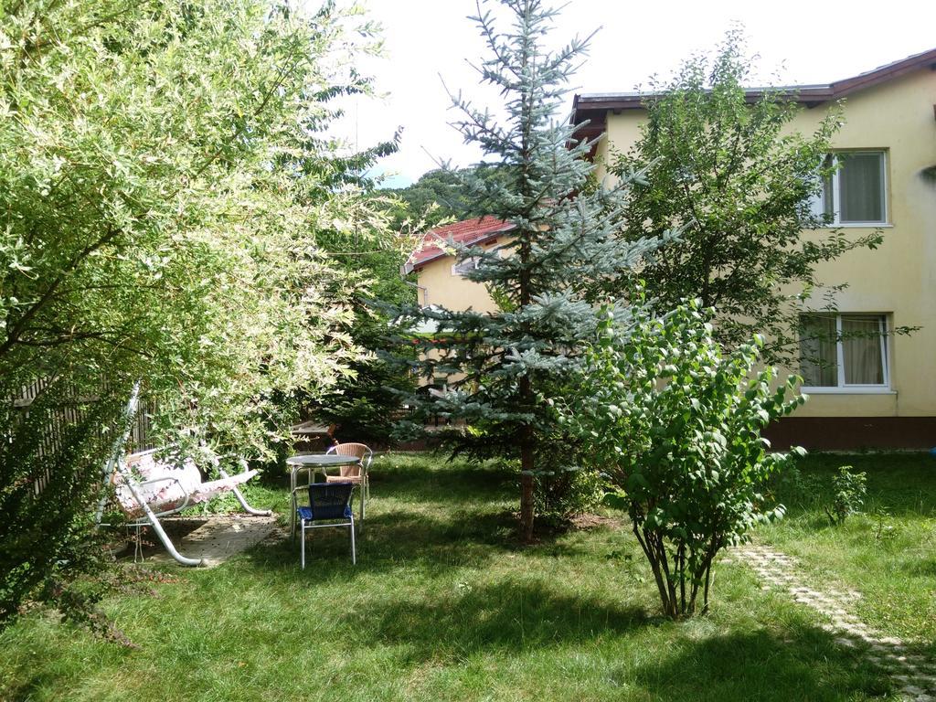 Pensiunea Paloma 3 Stele Braşov Exterior foto