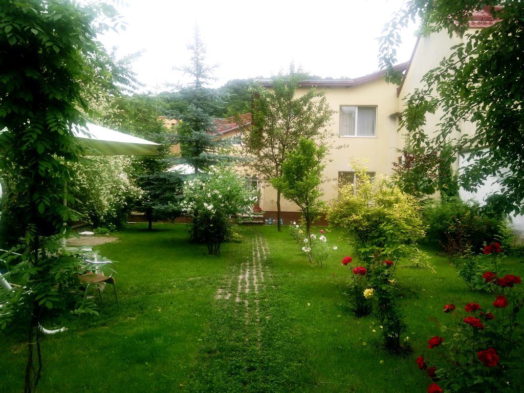 Pensiunea Paloma 3 Stele Braşov Exterior foto