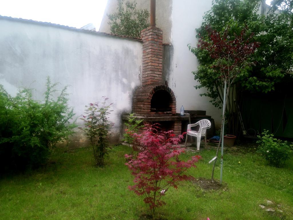 Pensiunea Paloma 3 Stele Braşov Exterior foto